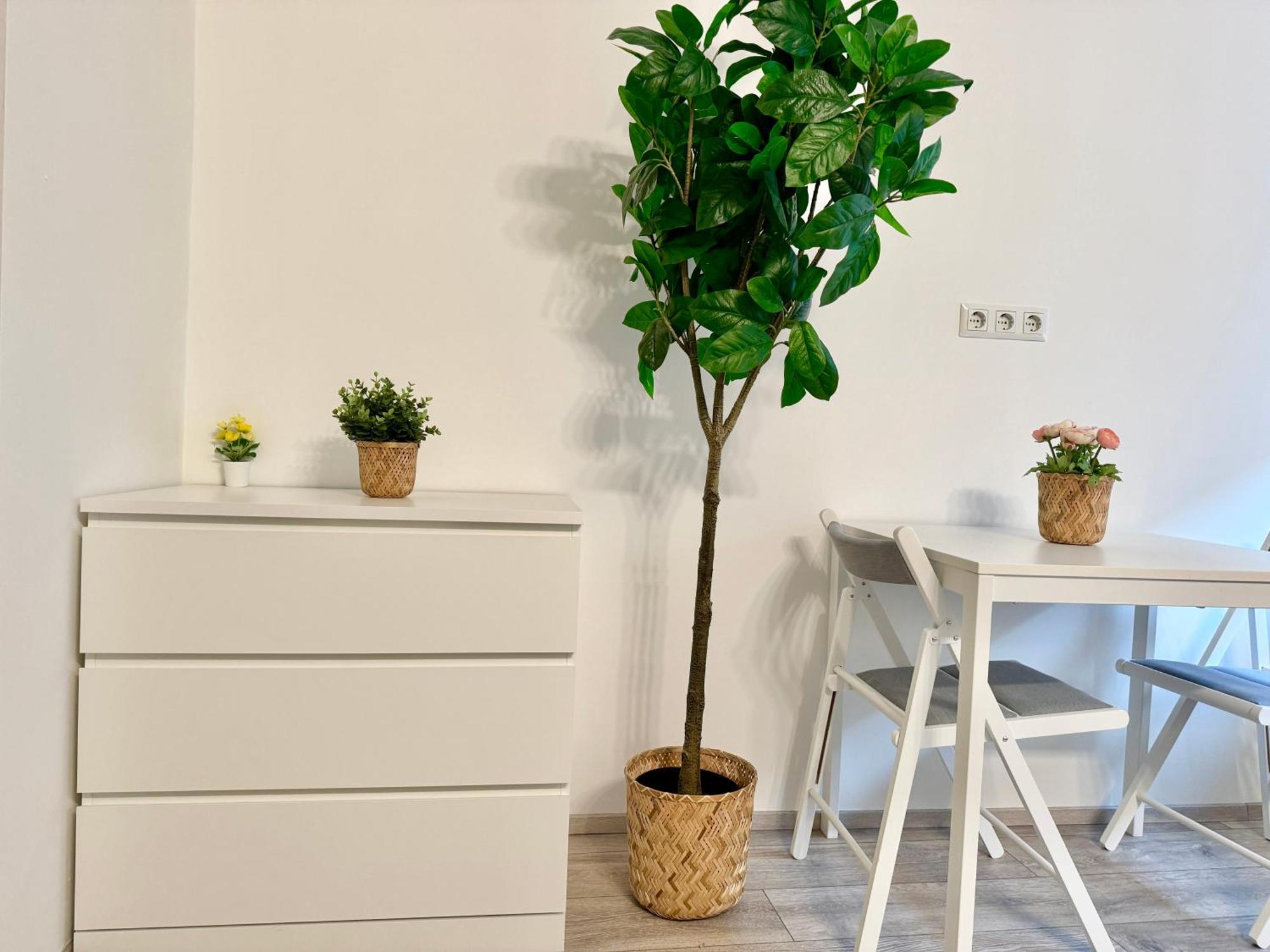 Stylish Schonbrunn Apartments - Free Underground Parking Vienna Esterno foto