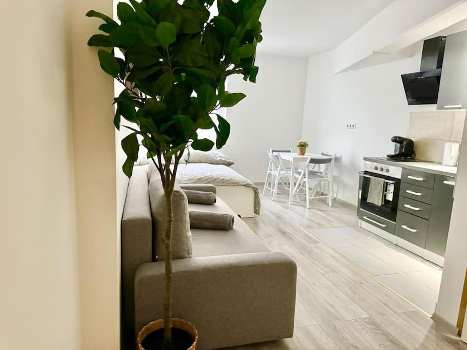 Stylish Schonbrunn Apartments - Free Underground Parking Vienna Esterno foto