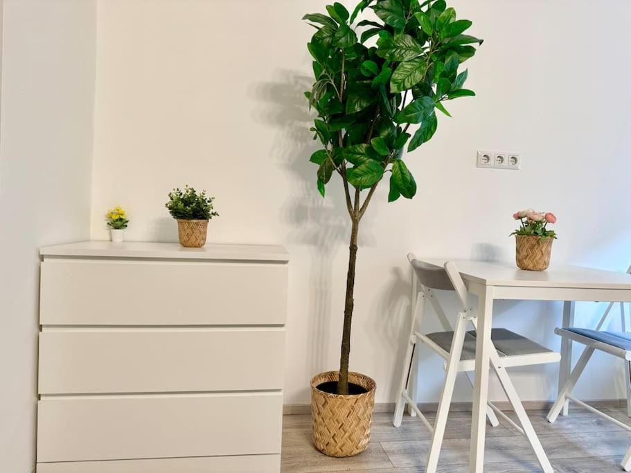 Stylish Schonbrunn Apartments - Free Underground Parking Vienna Esterno foto